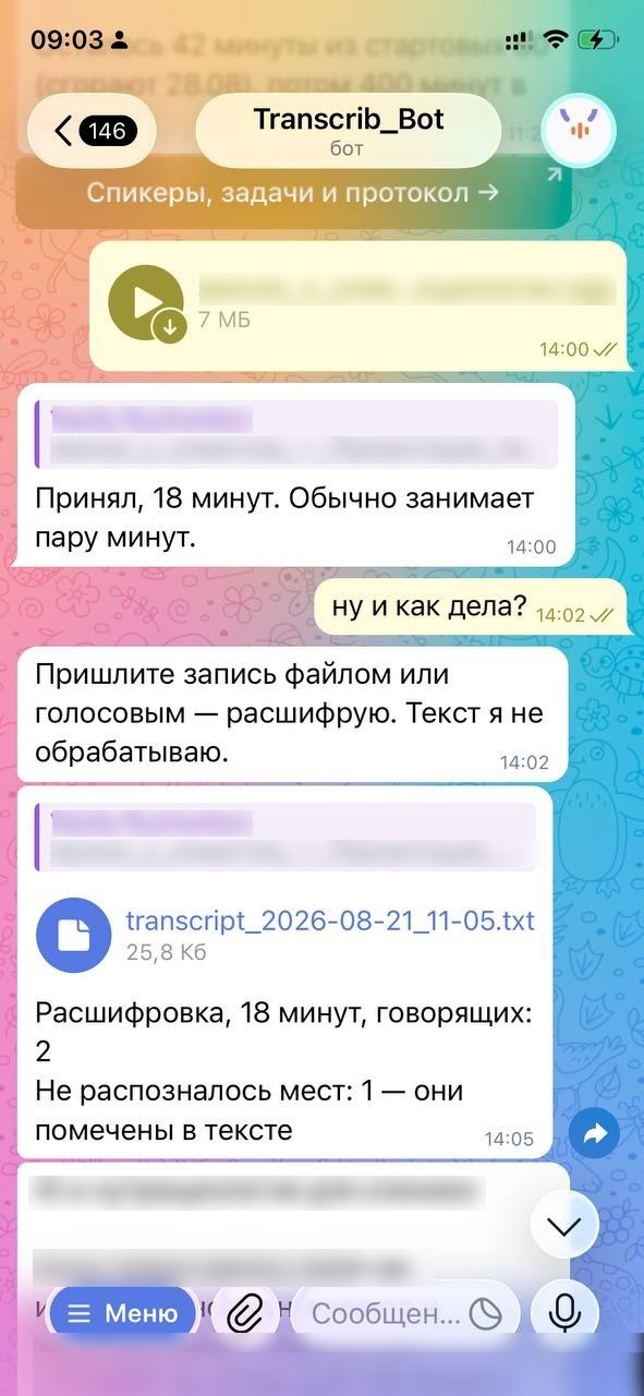Присланная запись и ответ бота: расшифровка со спикерами